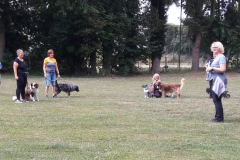 IMG-20230702-WA0012