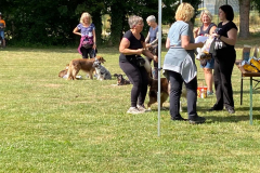 WhatsApp-Bild-2023-07-02-um-19.14.251