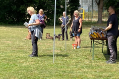 WhatsApp-Bild-2023-07-02-um-19.14.259