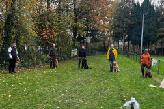 WhatsApp-Bild-2025-11-08-um-19.05.39_7435bf39