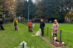 WhatsApp-Bild-2025-11-08-um-19.05.39_c9589637