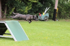 k-IMG_1881_0025