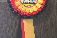 560292536_4345484555698047_1129123909007510024_n