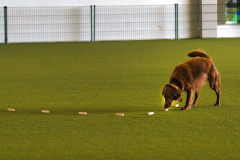 WhatsApp-Bild-2025-10-07-um-19.35.58_2c92de36