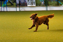 WhatsApp-Bild-2025-10-07-um-19.35.58_78a4fb2d