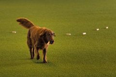 WhatsApp-Bild-2025-10-07-um-19.35.58_de88c7d6