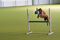 WhatsApp-Bild-2025-10-07-um-19.35.59_6592434d