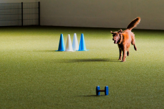 WhatsApp-Bild-2025-10-07-um-19.35.59_94f69667