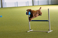 WhatsApp-Bild-2025-10-07-um-19.35.59_f0e6f038