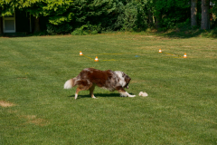 P1010674
