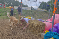 07fcce2c-0b55-4f3d-9bb0-7ce86b675386