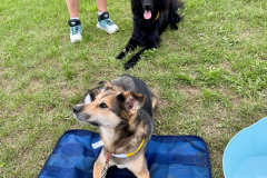 26b4014d-f2a9-4914-b2be-69975bb8d38d