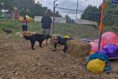 2d2c1d33-e173-4ec6-a944-3d999fbd4416