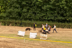 5cc61344-eecf-4f7f-ac65-55d1fb1991d4