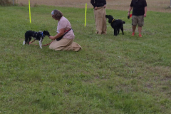 718cd34b-543e-4f03-adfb-78b607934f03