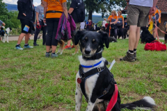 781138be-70c5-4f9b-b538-43f2b3837b10