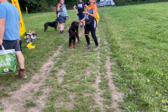 874929bf-6e83-408a-9c9f-3157750d9bb4