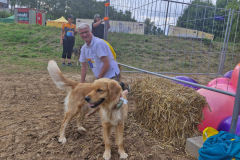 b711af7d-720b-4a36-b682-7fef0f2a5dbf