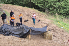 fbd1a156-c6fe-436c-8b95-ca30f094ef53