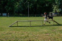 P1000699